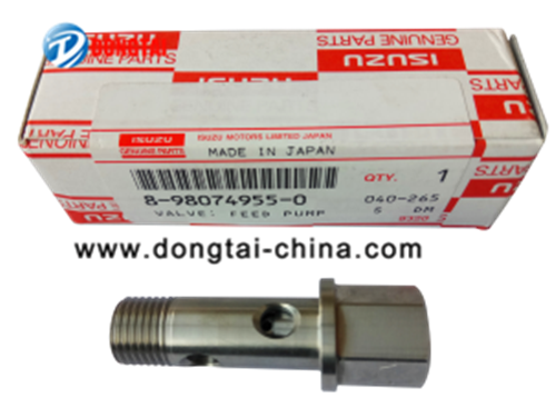 DENSO HP3,HP4 Inlet Screw With Strainer