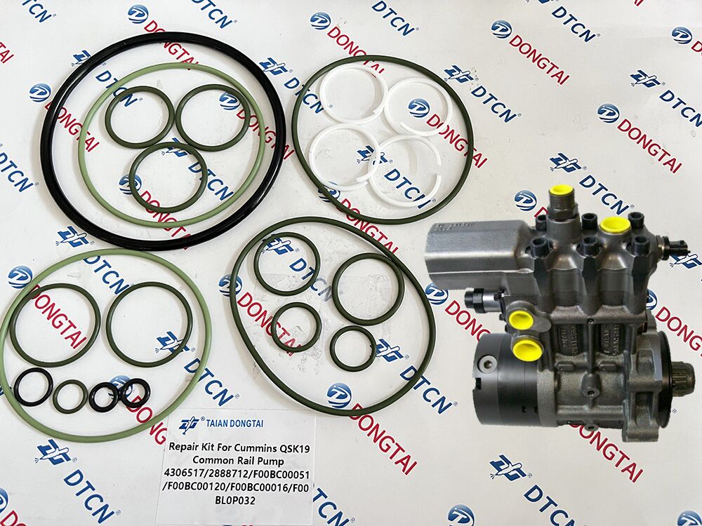 NO.129(3-2) Repair kit for Cummins QSK19 common rail pump 4306517/ F00BC00051/F00BC00120/F00BC00016 /F00BL0P032/2888712