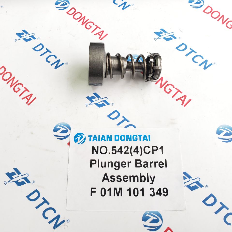 NO.542(4) CP1 Plunger Barrel Assembly F 01M 101 349