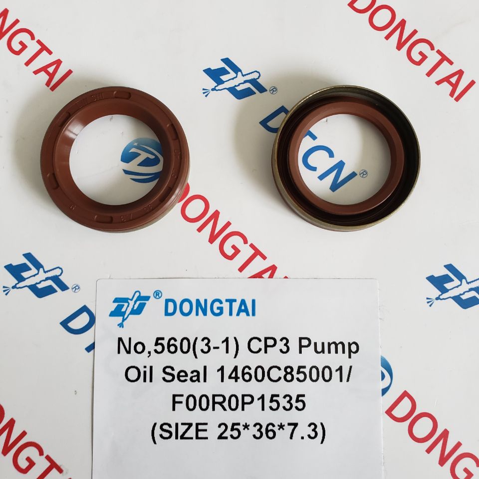 NO.560(3-1) CP3 Pump Oil Seal 1460C85001/F00R0P1535/ F00N202658/F00R0P0521 (SIZE 25*36*7.3)