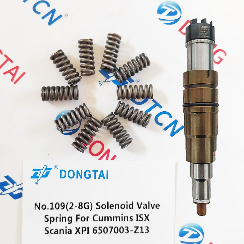 NO.109(2-8G) Solenoid Valve Spring For Cummins ISX Scania XPI 6507003-Z13